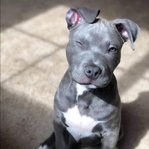 Meet your Posher, Shawneque